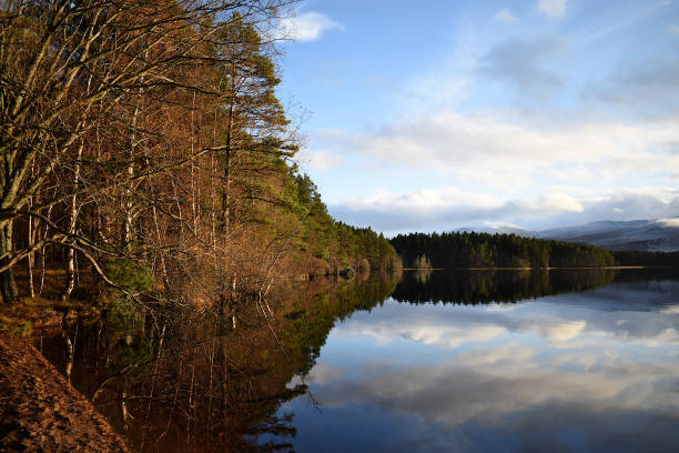 istock Reflections in Loch Garten RSPB during winter 1393203579
