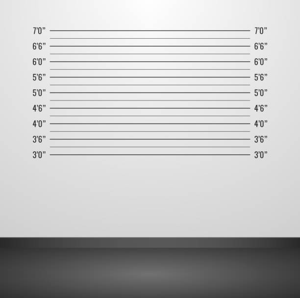 Vector illustration room with police mugshot background. Police lineup background with inch scale. Police mugshot board template. Vector illustration room with police mugshot background. Police lineup background with inch scale. Police mugshot board template. lineup stock illustrations