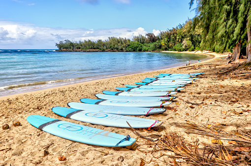 Surfboards lined up along the beach at Turtle Bay on Oahu