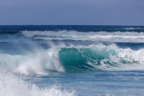 istock Waves and tropical trees on Sunset Beach on Oahu 1393218270