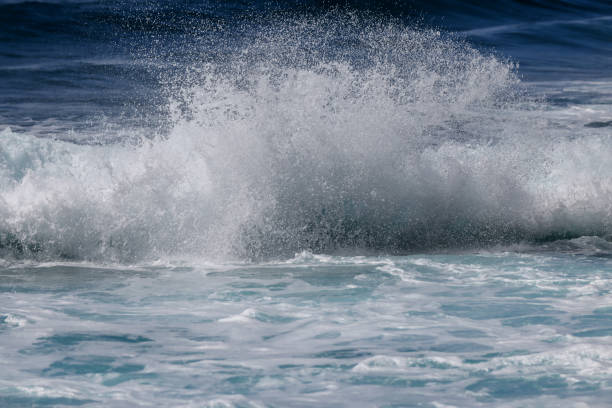 istock Waves and tropical trees on Sunset Beach on Oahu 1393218302
