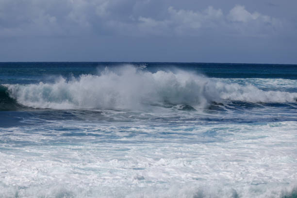 istock Waves and tropical trees on Sunset Beach on Oahu 1393218378