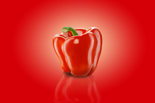 Fresh, red, bell pepper or bulgarian pepper on a red background with copy space for text or images, mirror surface. Tasty vegetable. Advertising concept. Close-up shot.