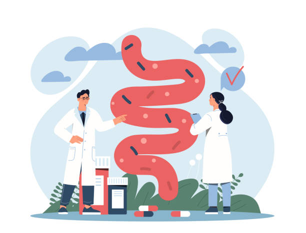 Digestive system concept Digestive system concept. Man and girl in medical gowns next to large organ. Metaphor for scientific research and experiments. Colleagues choose method of treatment. Cartoon flat vector illustration human intestine stock illustrations