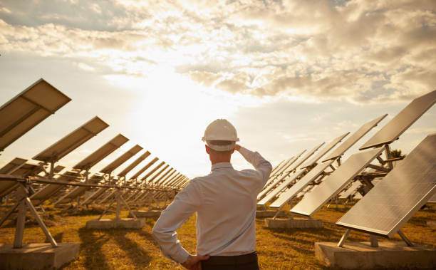 istock Unrecognizable engineer admiring modern solar farm at sunset 1393223639