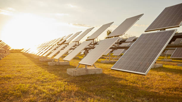 istock Photovoltaic panels on solar farm at sunset 1393223721