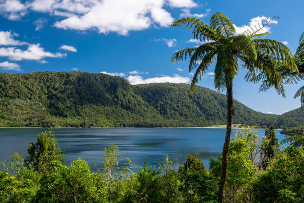 Beautiful Lakeside view in Rotorua, New Zealand Beautiful Lakeside view in Rotorua, New Zealand rotorua stock pictures, royalty-free photos & images