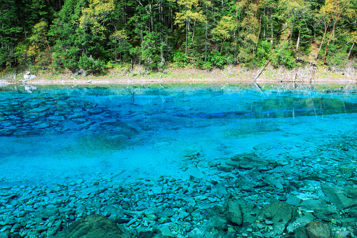 Beauty in nature at Jiuzhaigou Valley National Park