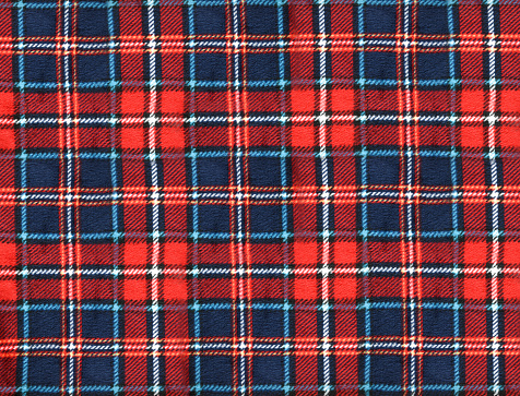 Red and Blue plaid fleece fabric