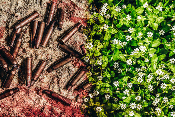 photo d’un terrain de guerre sanglant avec prairie fleurie. - dead body photos et images de collection