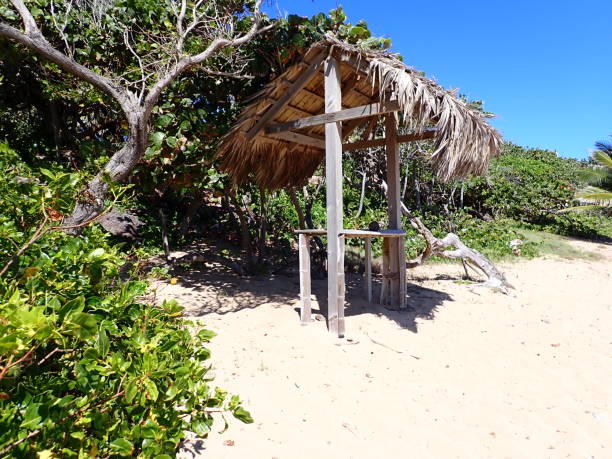 istock Sunny beach with outdoor bar having thatched grass roof 1393237605