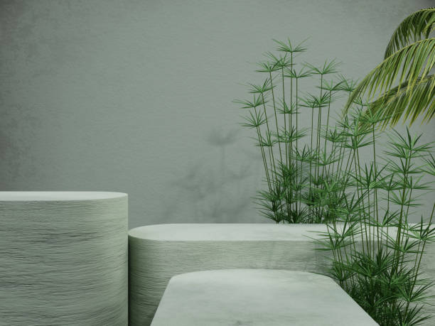 istock Mock up product display podium with natural plants 3D render illustration 1393245653