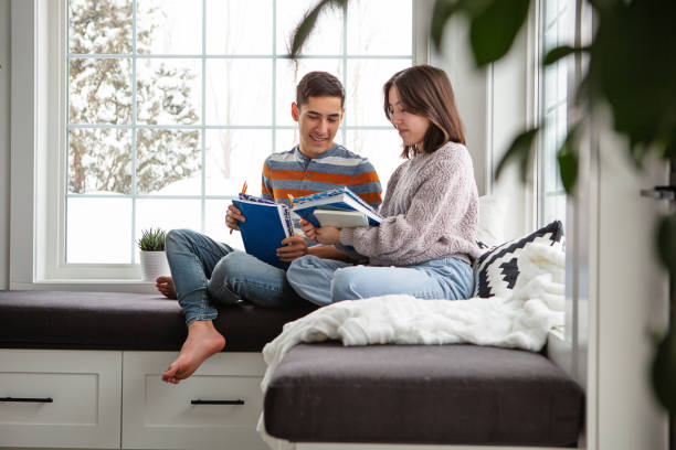 Teenager sibling studying at home