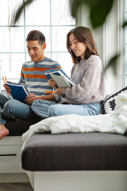 istock Teenager sibling studying at home 1393254888