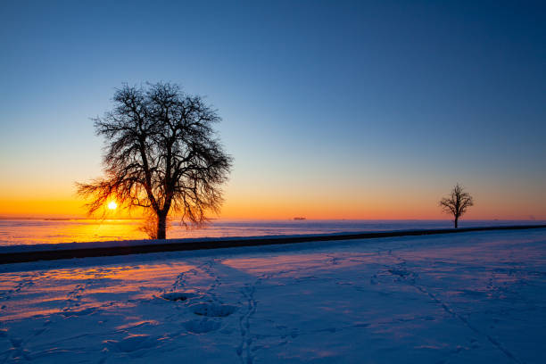 Empty road through snow-covered field after a blizzard at sunset. Clear sky, golden light. Idyllic rural scene.
