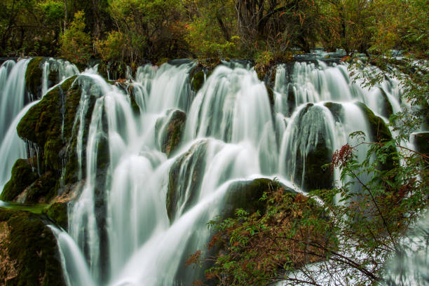 gebirgsbachwasserfall im wald - erdgöttin stock-fotos und bilder