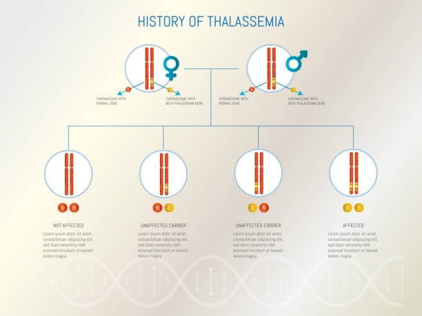 Infographic:International Thalassemia Day, May 8.Genetic disease.Genetic history Infographic:International Thalassemia Day, May 8.Genetic disease.Genetic history with the beta thalassemia gene. genetic screening stock illustrations