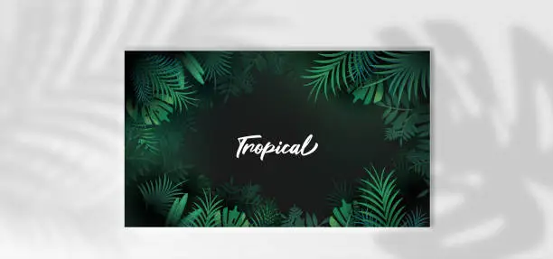 Vector illustration of Tropical poster with palm leaves