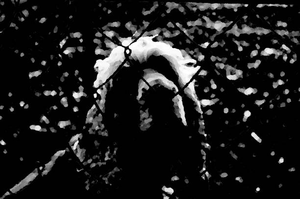 Monochrome abstraction sits a pet.