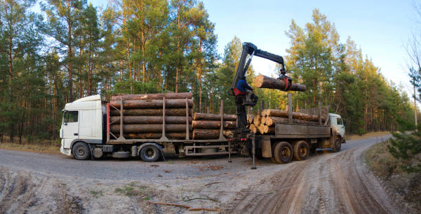 istock Loading logs in the tree truck. Shipping timber. 1393275977