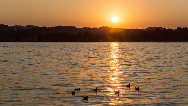 istock Sunset at Lake Chiemsee 1393277159