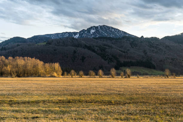 istock The Chiemgau Alps 1393277804