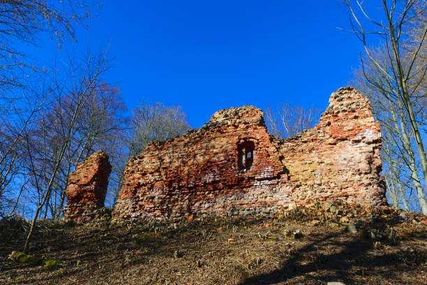 istock Spring landscape with red brick castle ruins, bare trees without leaves 1393278893