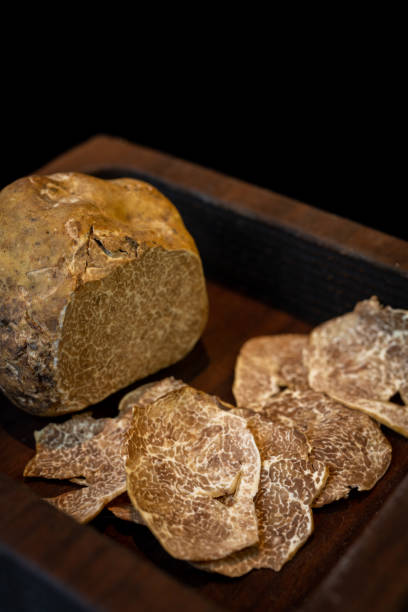 italian white alba truffle - white truffle imagens e fotografias de stock