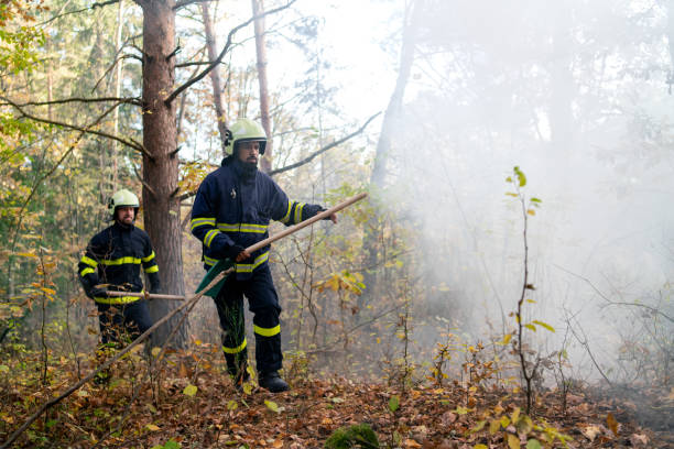 istock Firefighters men at action, running through smoke with shovels to stop fire in forest. 1393284022