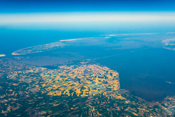 Aerial view of tulip cultivated filed in Netherlands