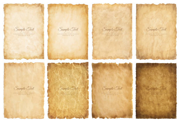 ilustrações de stock, clip art, desenhos animados e ícones de vector collection set old parchment paper sheet vintage aged or texture isolated on white background - parchment