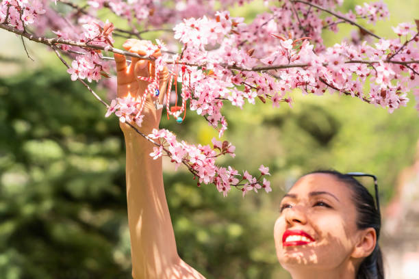 Springtime blossom tree with Bulgarian Martenitsa (Martenitza) hanging