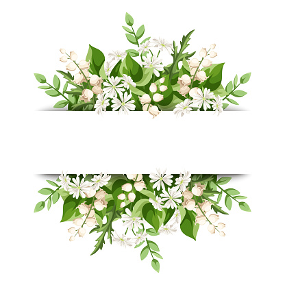 Banner with green leaves and small white flowers. Vector illustration