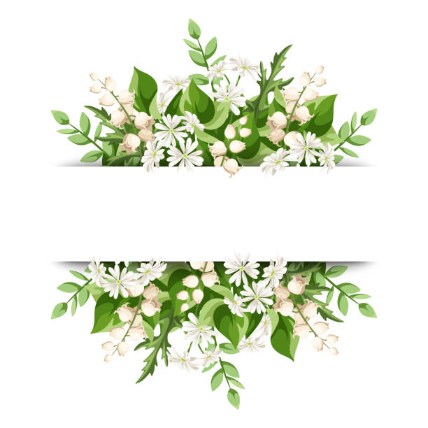 Banner with white flowers and green leaves. Vector illustration Banner with green leaves and small white flowers. Vector illustration lily of the valley stock illustrations