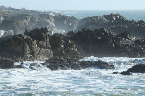 istock The Atlantic coast at Batz-sur-mer 1393346353