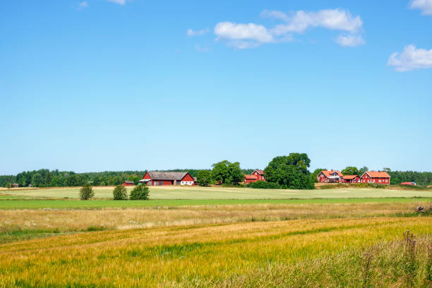 istock Idyllic rural landscape with farms and fields in summer 1393346810