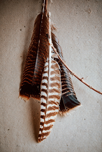 Feathers hang on a wall as part of a handmade dreamcatcher shot with natural side light.