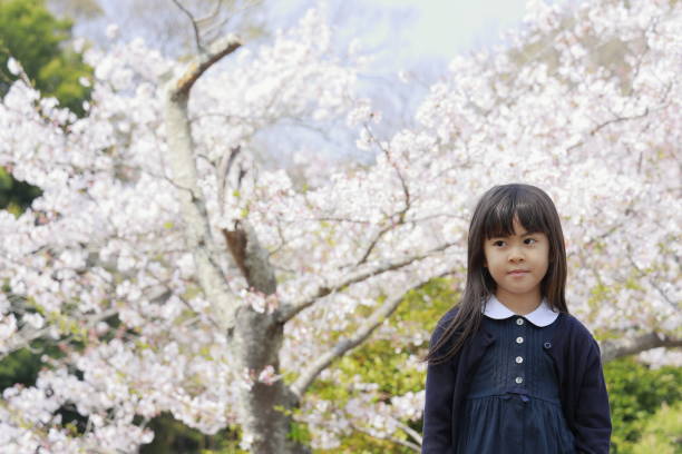 istock Japanese girl and cherry blossoms (7 years old) 1393347927