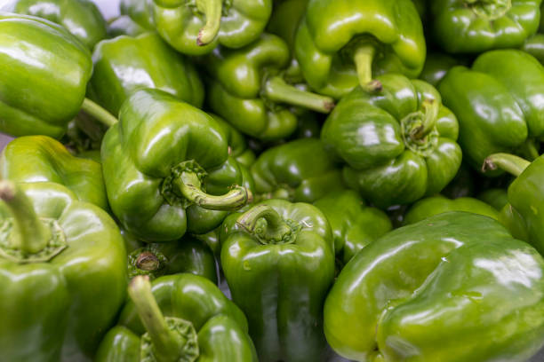 Food backgrounds. Fresh vegetables. Bell pepper or Green pepper supermarket.