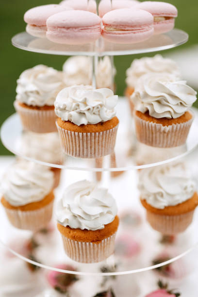 istock welcome buffet with alcohol and cupcakes 1393349468