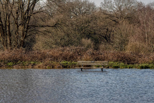 WET FEET If you want to sit on this bench, you will need your wellies. Wimbledon Common after heavy rainfall. Wimbledon, United Kingdom. wimbledon seats stock pictures, royalty-free photos & images
