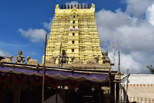 istock Hindu temples from Tamil Nadu 1393355054