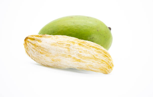 selective focus, mango with mango seeds isloate on white background stock photo