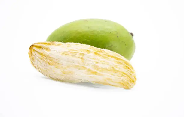 Moon Mango Seed Image Pictures | Download Free Images on Unsplash