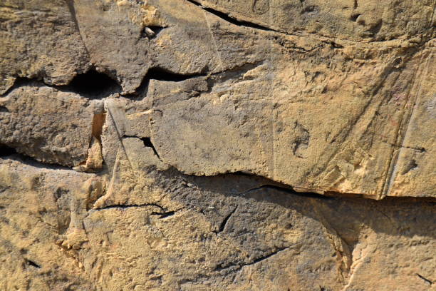 istock Close up of rock texture 1393366711