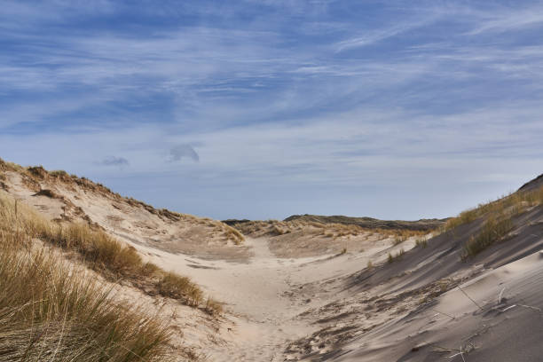 istock Scenic view of sand dunes at beach against cloudy sky 1393367200