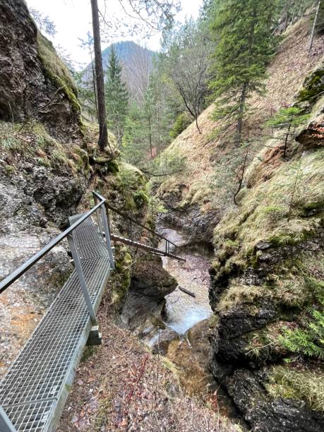istock View from the ladder to the valley 1393368176