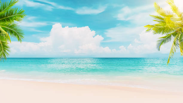 istock Palm tree on tropical beach with blue sky and white clouds abstract background. Copy space of summer vacation and business travel concept. 1393369223