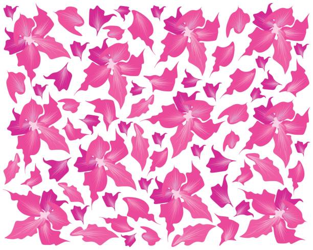 Pink Desert Rose Flowers or Bignonia Flowers Background Beautiful Flower, Illustration Background of Pink Desert Rose Flowers or Pink Bignonia Flowers with Green Leaves. bignonia stock illustrations