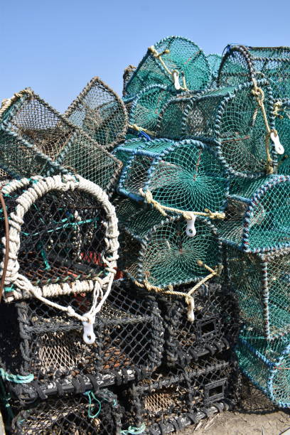 istock Pile of lobster pots 1393369988